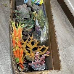 Fish Tank Accessories. Corals, Fish Tanks, And Lots Of Other Stuff
