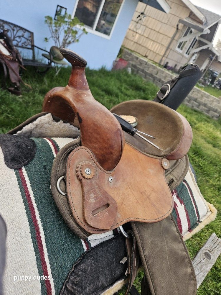 SADDLES & TACK
