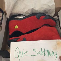 2014 Air Jordan Ferrari 14’s Sz10.5 OG ALL