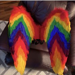 Adult Rainbow feather angel wings Halloween Costume Great Shape Pride LGBTQ