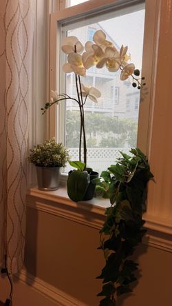 Decorative Fake Plants