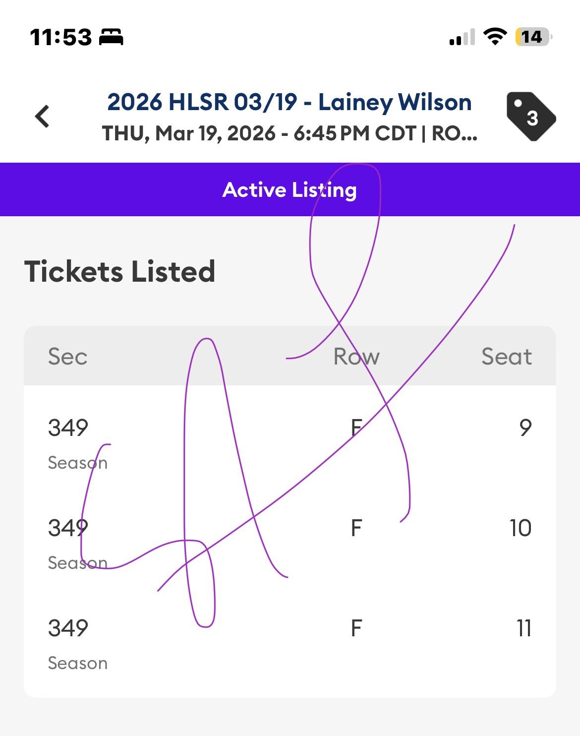 Lainey Wilson Rodeo Houston