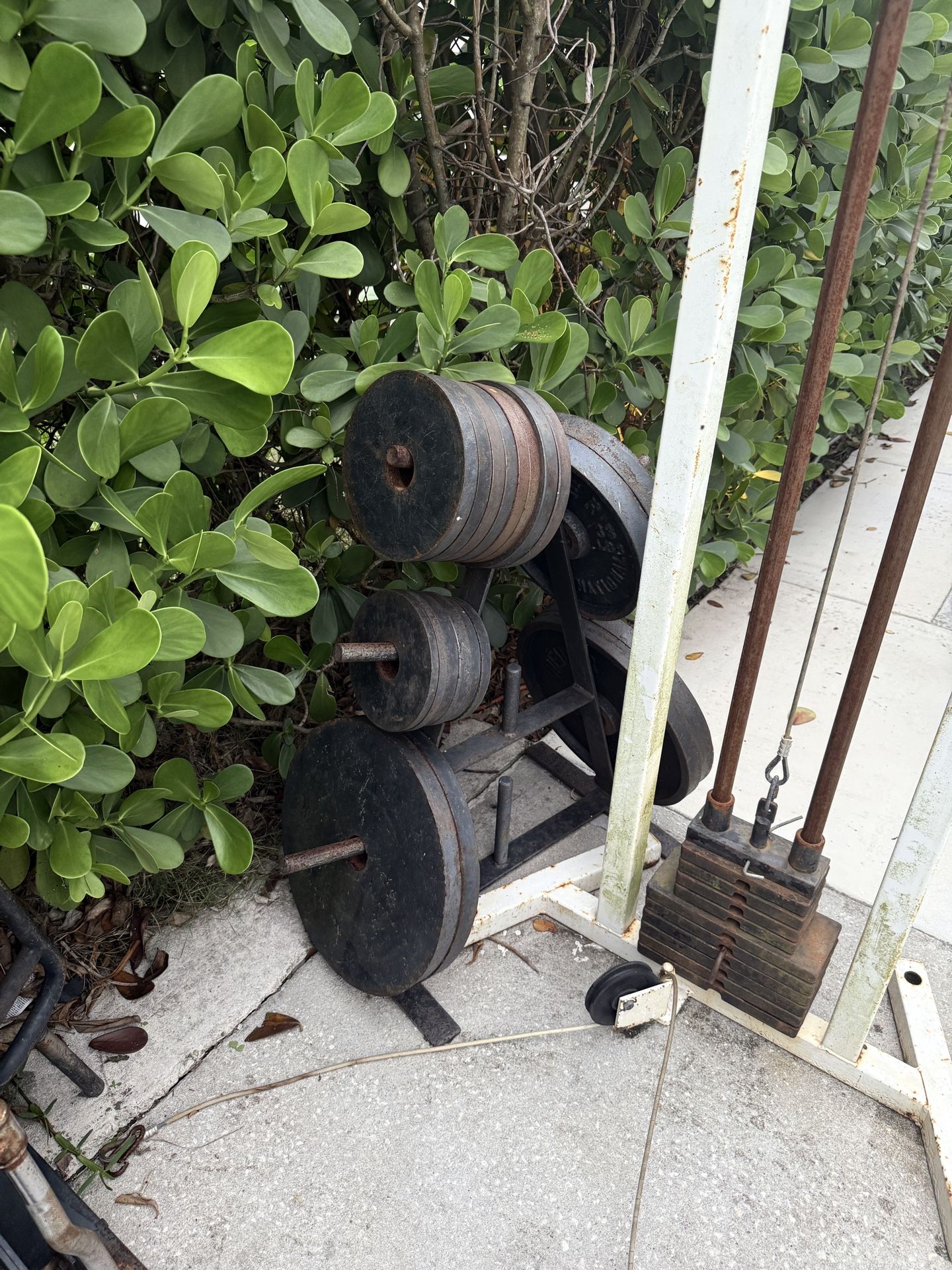 Weights