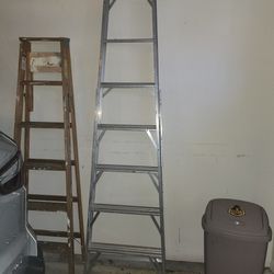 Ladders Tall 
