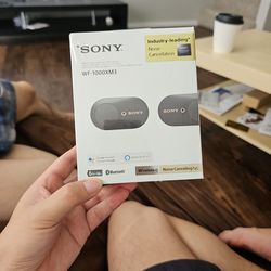 Sony WF-1000XM3 Noise Canceling Earbuds