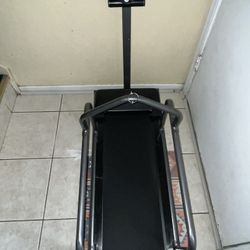 Small/medium Dog Trendmile 