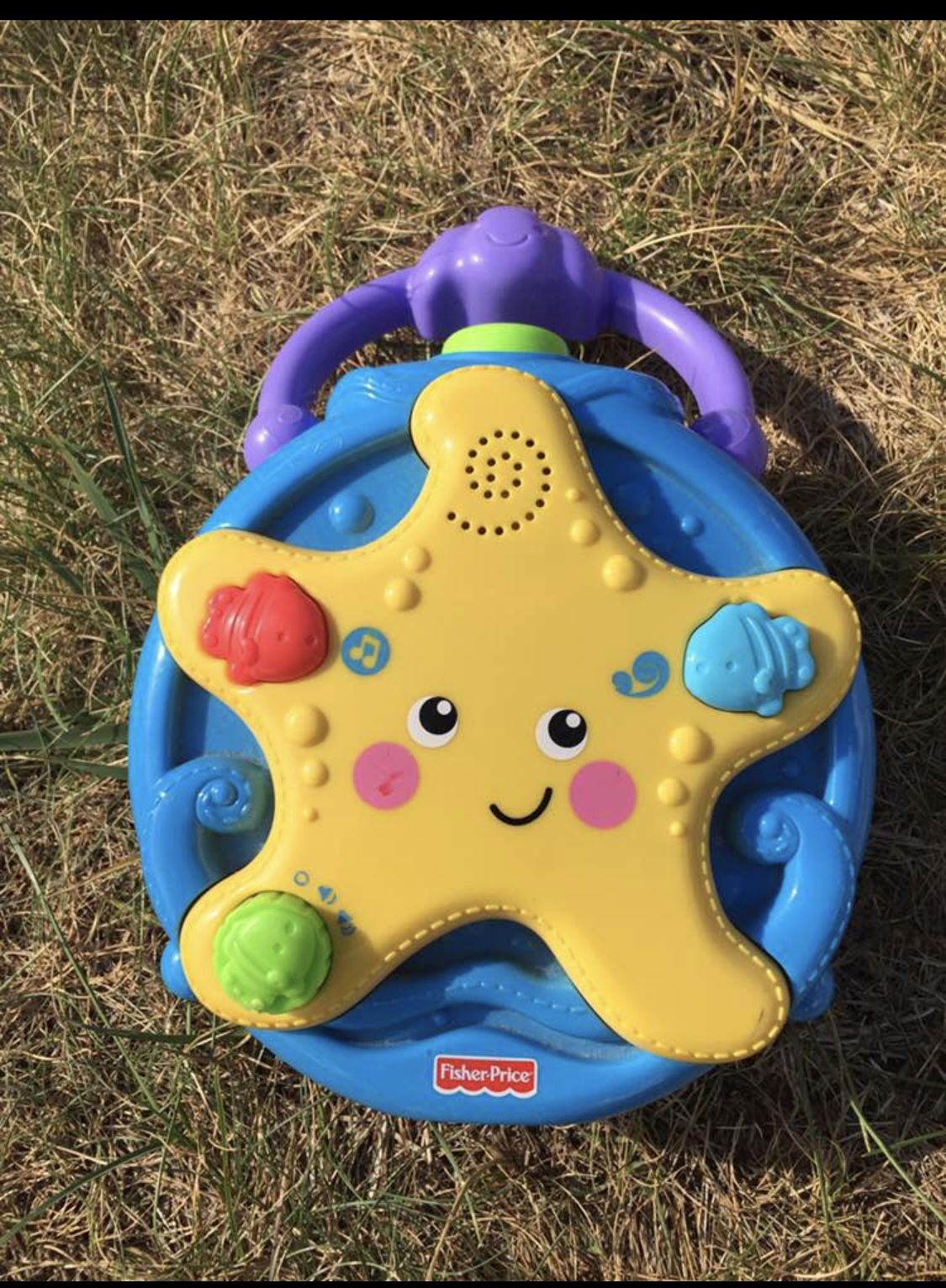 Fisher Price Ocean Wonders Take Along Portable Projector Soother Starfish Works