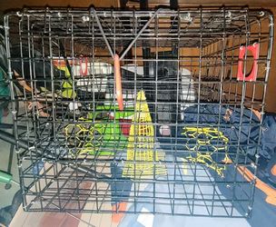 Fishing and Crabbing Bundle Deal- Read Description 