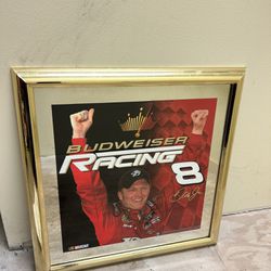 NASCAR Budweiser Racing Dale Earnhardt Jr. Picture Frame