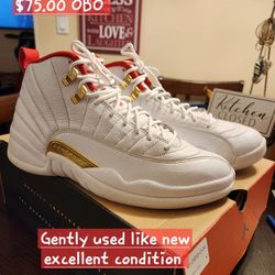 Air Jordan 12 Retro 