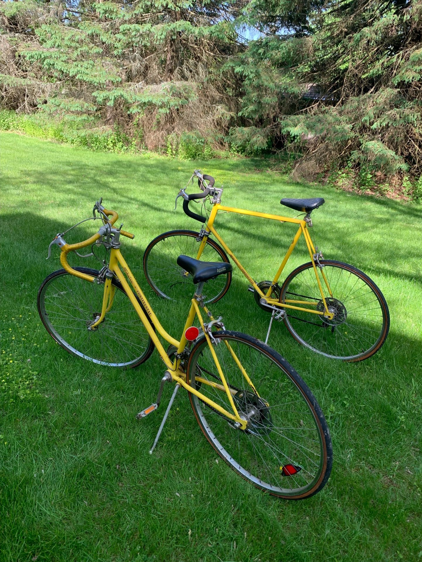 1973 schwinn continental