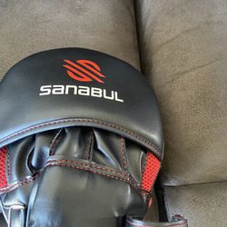 Boxing Sparring Pads