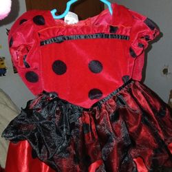 Ladybug Costume 