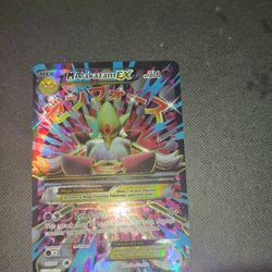 Light Play 