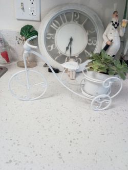 bicycle pot and kiwi plants