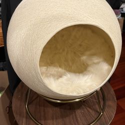 Stellar Modern Cat Bed