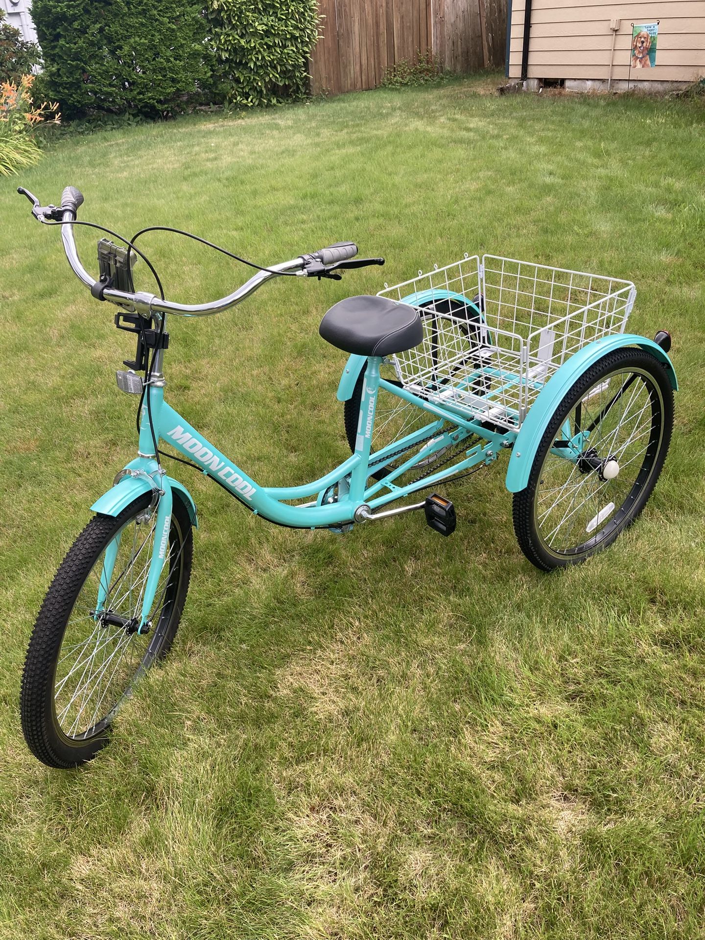 Adult Tricycle with basket