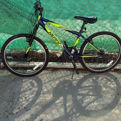 Adult Or Teens Bike 