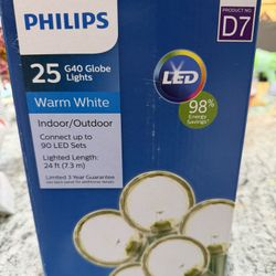 LED Indoor/Outdoor Globe Lights  (G40) Warm White