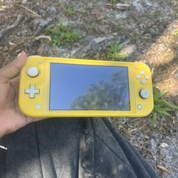 nintendo switch lite (negotiable)