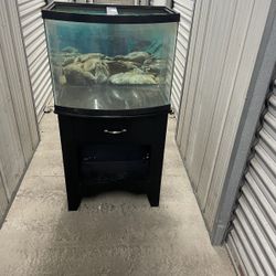 35 Gal Bowed Fish Tank And Custom Cabinet