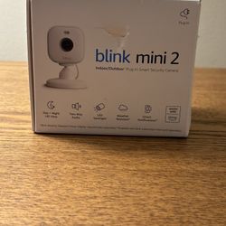 Blink Mini 2 Indoor/outdoor Plug In Smart Camera With Floodlight