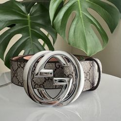 Luxury Belt Silver Logo 