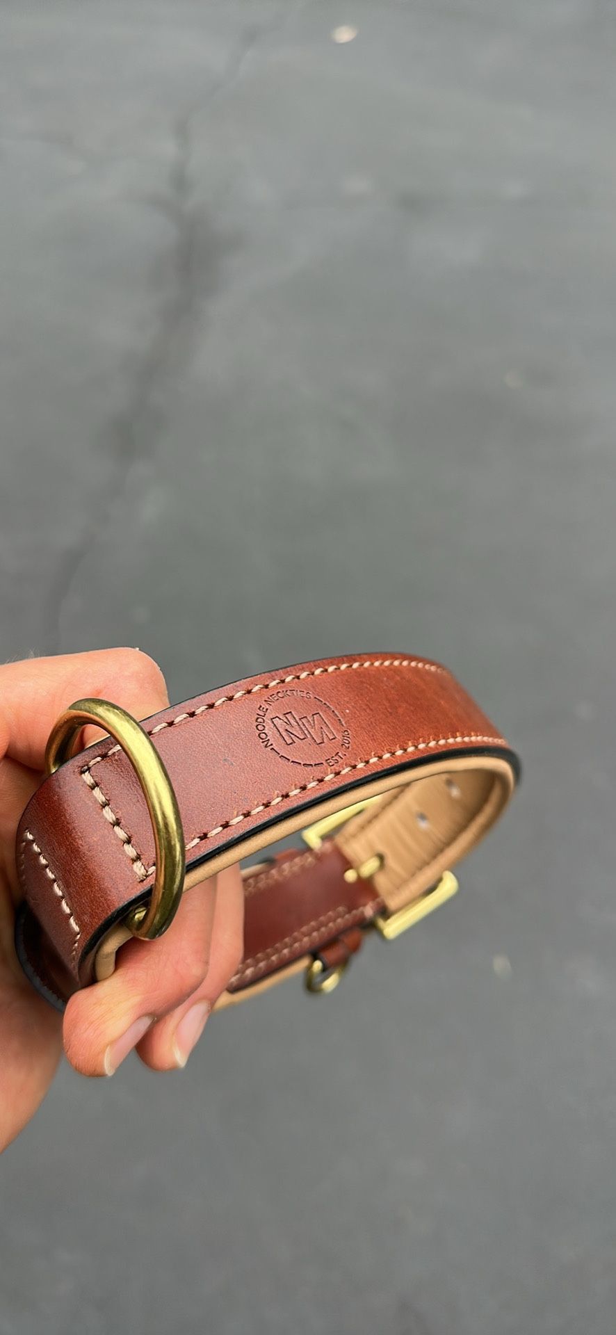 Padded genuine leather dog collar (brand new $30+ Value)