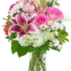 Flower Arrangements 