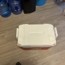 Igloo Cooler