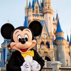 Disney World Tickets