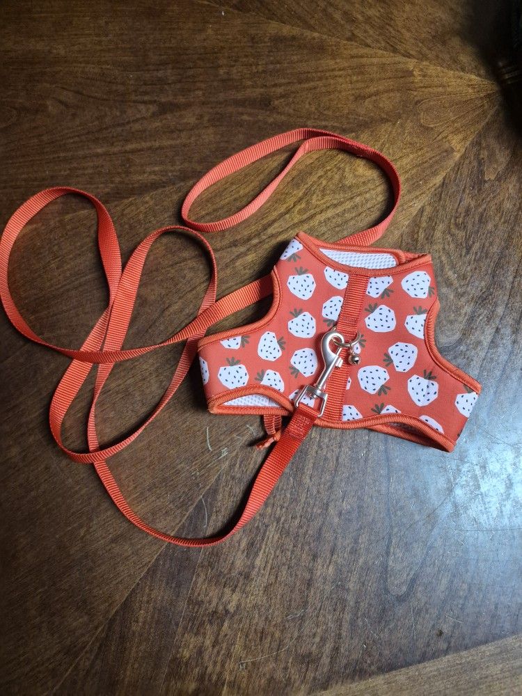 Small Pet Harness And Leash 
