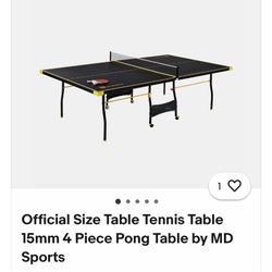 Ping Pong Table
