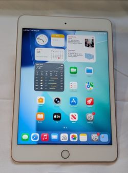 VERY NICE APPLE iPad MINI 5 64GB  LOW PRICE iOS26