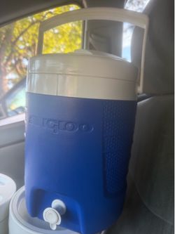 2 gallons igloo