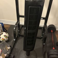 Lasko Tower Fan with Timer 