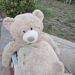 Big Teddy Bear