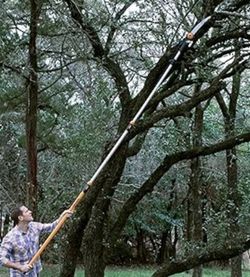 HAND POLE SAW NEW 8 FTS