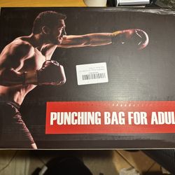 Punching Bag w/gloves