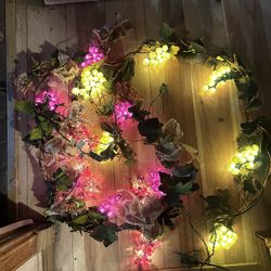 Vintage Light Up Grapes On Vine