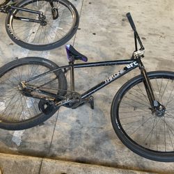 throne 29er