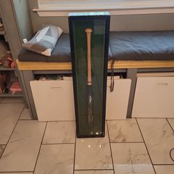 A Bat Singed By Cecil 