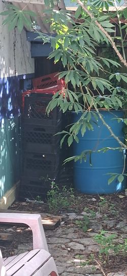 Milk crates