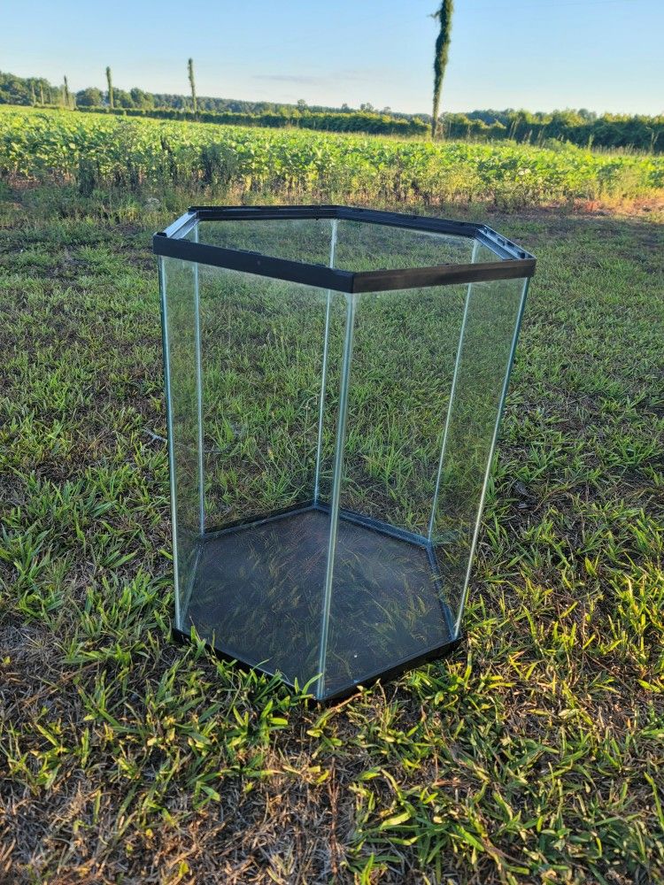 20 Gallon Hexagon Glass Fish Tank