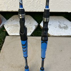  New Bass Casting Rod - Each