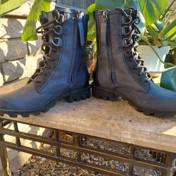 Phoenix sorel 2025