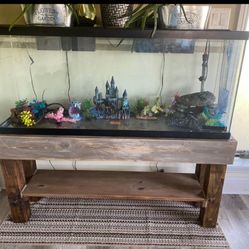 55 Gallon Fish Tank
