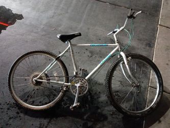Raleigh Technium Mountain Bike