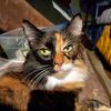 Tammy 