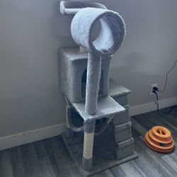 Cat Tree 